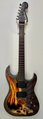Washburn Pro stratocaster Skull design collector
