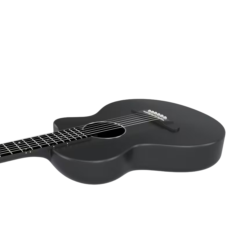 VIBRISTA Carbon Fiber Acoustic Guita
